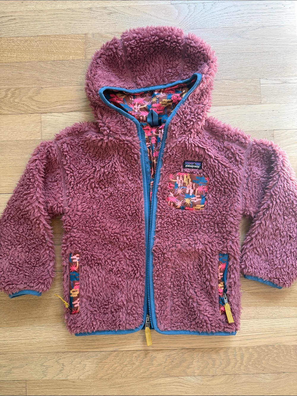 Patagonia Plush Fleece Hoodie in Dusty Rose with Blue Trim